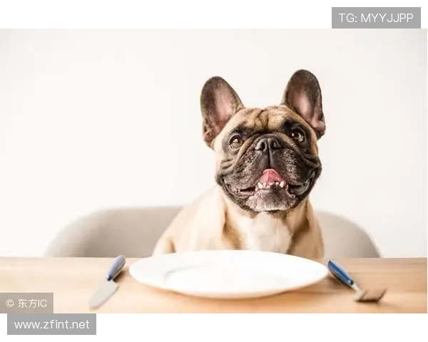 内马尔家的狗吃的都比我一个月工资高